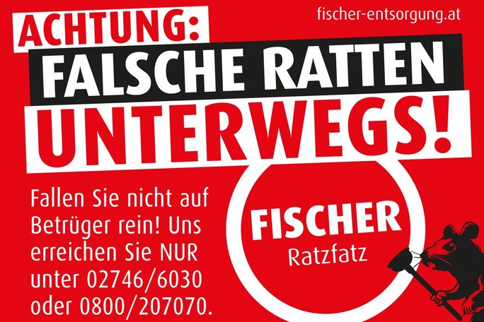 Achten Sie auf die echte Ratte